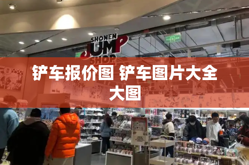 铲车报价图 铲车图片大全大图
