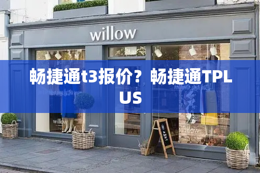 畅捷通t3报价？畅捷通TPLUS-第1张图片-星选测评
