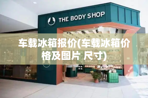 车载冰箱报价(车载冰箱价格及图片 尺寸)