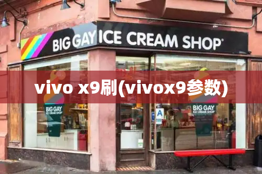 vivo x9刷(vivox9参数)