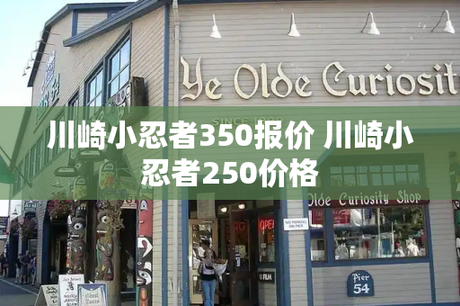 川崎小忍者350报价 川崎小忍者250价格-第1张图片-星选测评