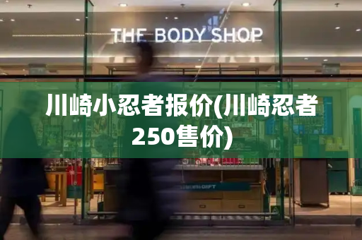 川崎小忍者报价(川崎忍者250售价)