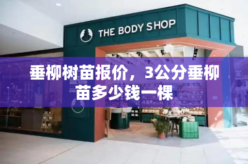 垂柳树苗报价，3公分垂柳苗多少钱一棵