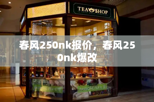 春风250nk报价，春风250nk爆改-第1张图片-星选测评