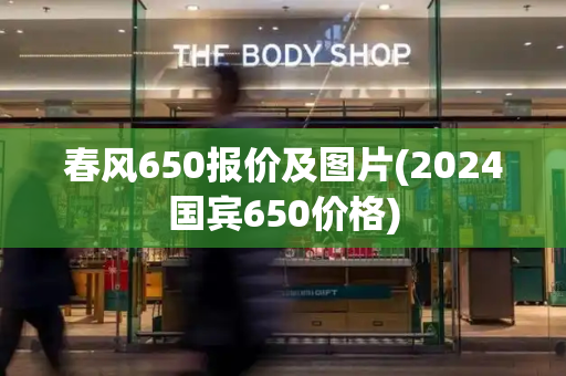春风650报价及图片(2024国宾650价格)
