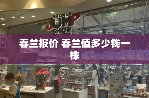 春兰报价 春兰值多少钱一株