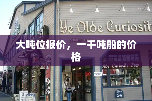 大吨位报价，一千吨船的价格-第1张图片-星选测评