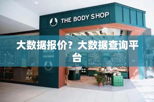 大数据报价？大数据查询平台