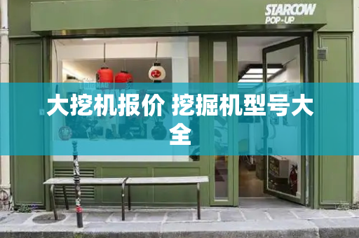 大挖机报价 挖掘机型号大全