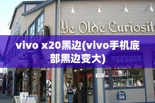 vivo x20黑边(vivo手机底部黑边变大)-第1张图片-星选测评