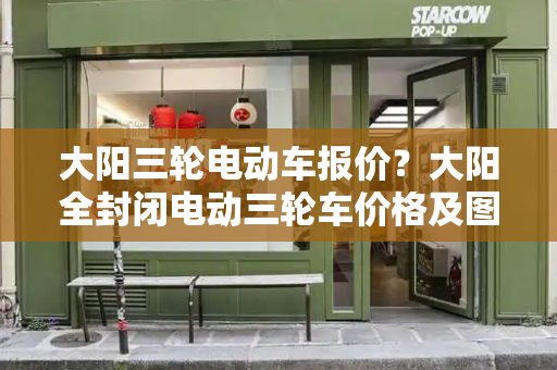 大阳三轮电动车报价？大阳全封闭电动三轮车价格及图片-第1张图片-星选测评