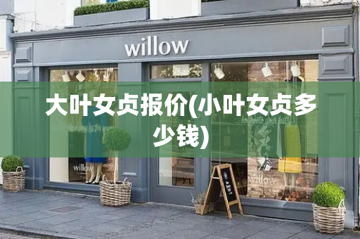 大叶女贞报价(小叶女贞多少钱)-第1张图片-星选测评