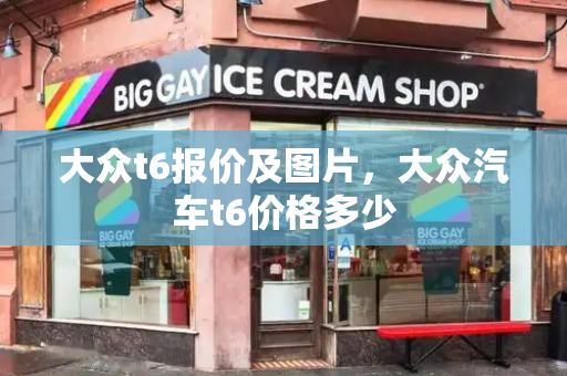 大众t6报价及图片，大众汽车t6价格多少
