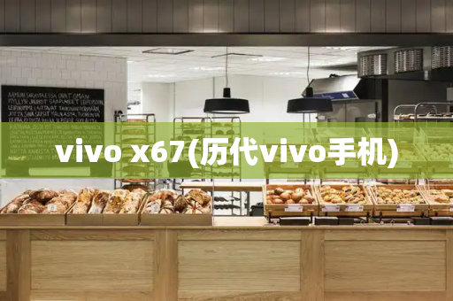 vivo x67(历代vivo手机)-第1张图片-星选测评