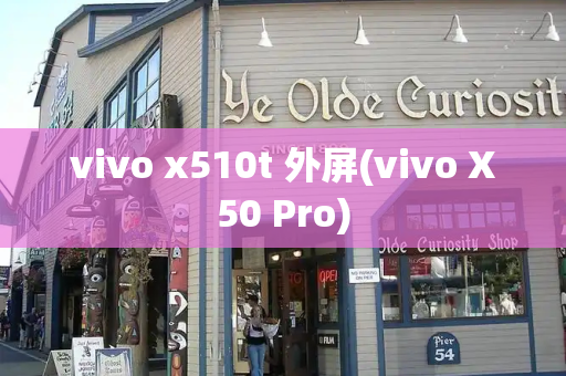 vivo x510t 外屏(vivo X50 Pro)