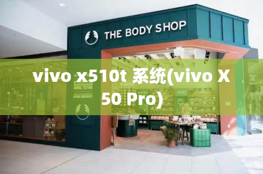 vivo x510t 系统(vivo X50 Pro)