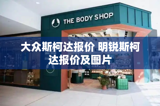 大众斯柯达报价 明锐斯柯达报价及图片-第1张图片-星选测评