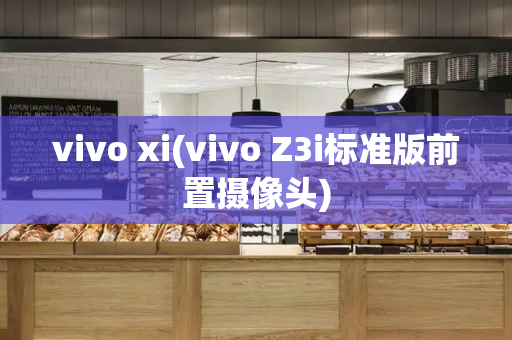 vivo xi(vivo Z3i标准版前置摄像头)