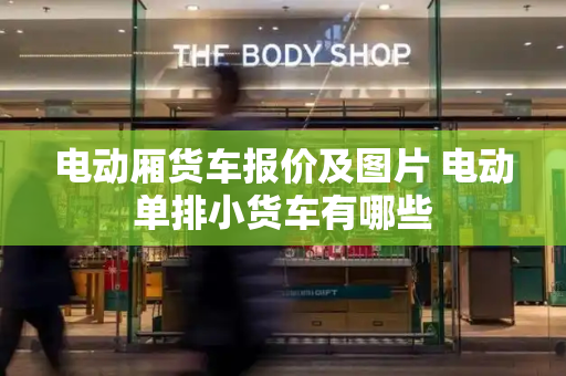 电动厢货车报价及图片 电动单排小货车有哪些