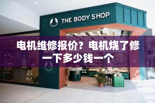 电机维修报价？电机烧了修一下多少钱一个