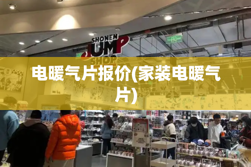 电暖气片报价(家装电暖气片)