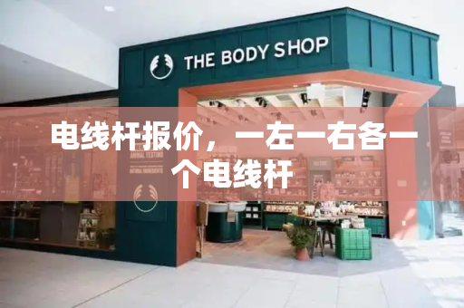 电线杆报价，一左一右各一个电线杆-第1张图片-星选测评
