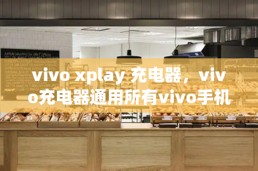 vivo xplay 充电器，vivo充电器通用所有vivo手机吗