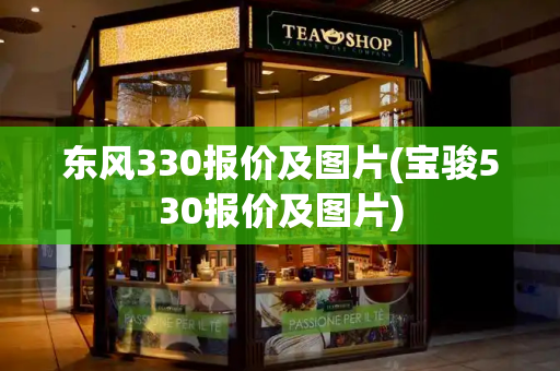 东风330报价及图片(宝骏530报价及图片)-第1张图片-星选测评