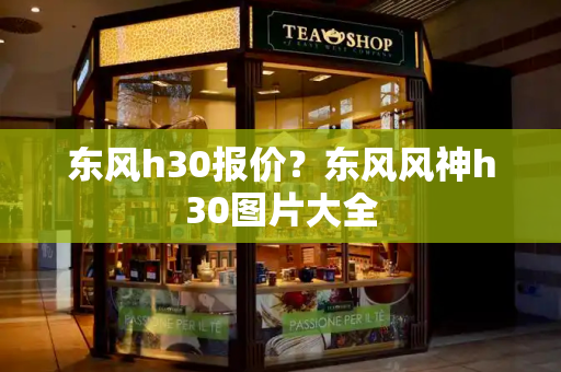 东风h30报价？东风风神h30图片大全