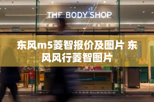 东风m5菱智报价及图片 东风风行菱智图片