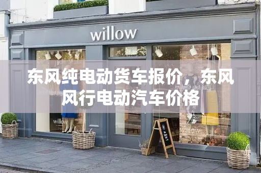东风纯电动货车报价，东风风行电动汽车价格-第1张图片-星选测评