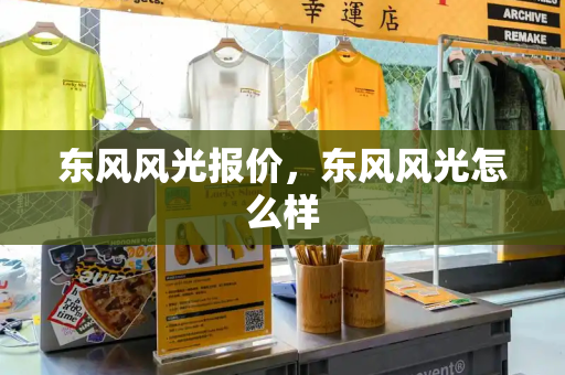 东风风光报价，东风风光怎么样-第1张图片-星选测评
