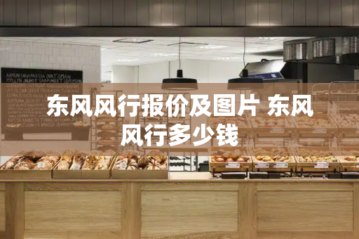 东风风行报价及图片 东风风行多少钱