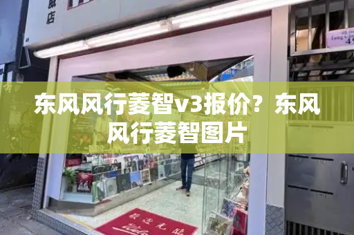 东风风行菱智v3报价？东风风行菱智图片