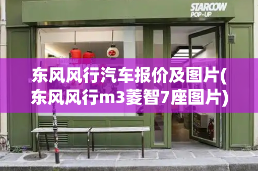 东风风行汽车报价及图片(东风风行m3菱智7座图片)-第1张图片-星选测评