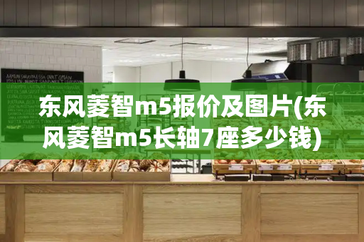 东风菱智m5报价及图片(东风菱智m5长轴7座多少钱)-第1张图片-星选测评