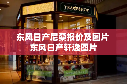 东风日产尼桑报价及图片 东风日产轩逸图片-第1张图片-星选测评