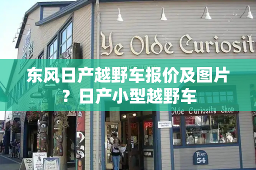 东风日产越野车报价及图片？日产小型越野车