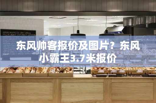 东风帅客报价及图片？东风小霸王3.7米报价