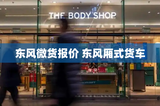 东风微货报价 东风厢式货车-第1张图片-星选测评