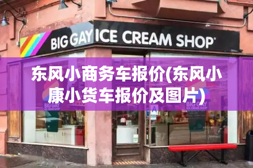 东风小商务车报价(东风小康小货车报价及图片)