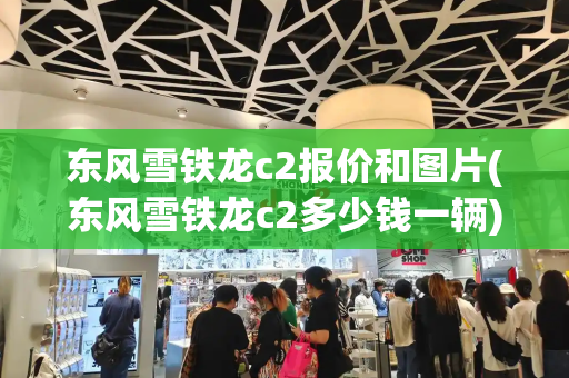 东风雪铁龙c2报价和图片(东风雪铁龙c2多少钱一辆)-第1张图片-星选测评