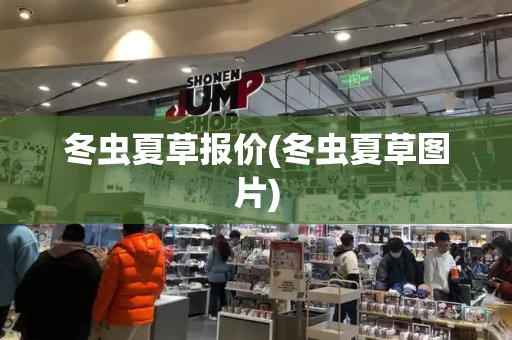 冬虫夏草报价(冬虫夏草图片)