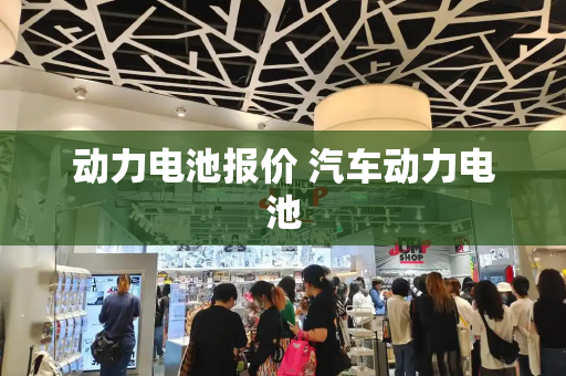 动力电池报价 汽车动力电池