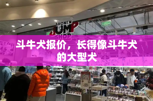斗牛犬报价，长得像斗牛犬的大型犬-第1张图片-星选测评