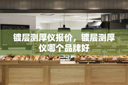 镀层测厚仪报价，镀层测厚仪哪个品牌好