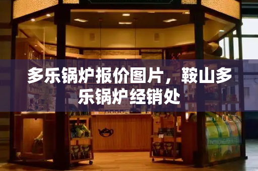 多乐锅炉报价图片，鞍山多乐锅炉经销处-第1张图片-星选测评