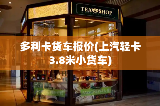 多利卡货车报价(上汽轻卡3.8米小货车)
