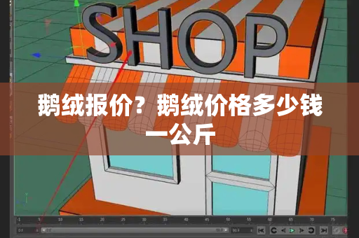 鹅绒报价？鹅绒价格多少钱一公斤-第1张图片-星选测评