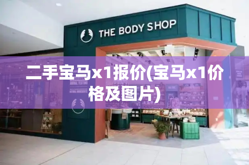 二手宝马x1报价(宝马x1价格及图片)-第1张图片-星选测评